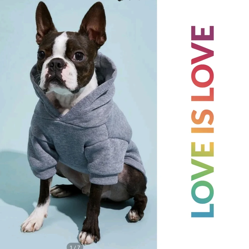 **SOLD** π3/$25π Sydney & Co Dog Pride Hoodie - Picture 1 of 7